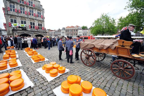 Singles in Gouda: view of the city