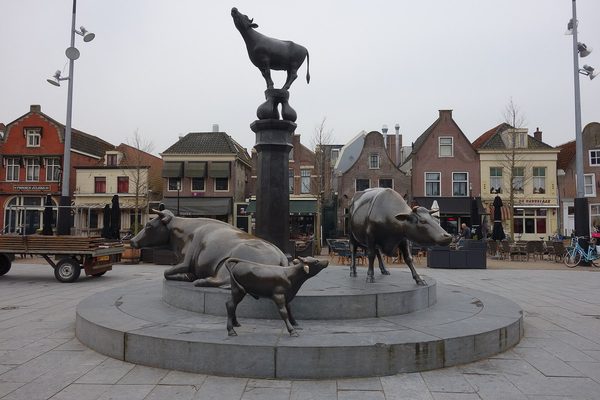 Singles in Purmerend: view of the city
