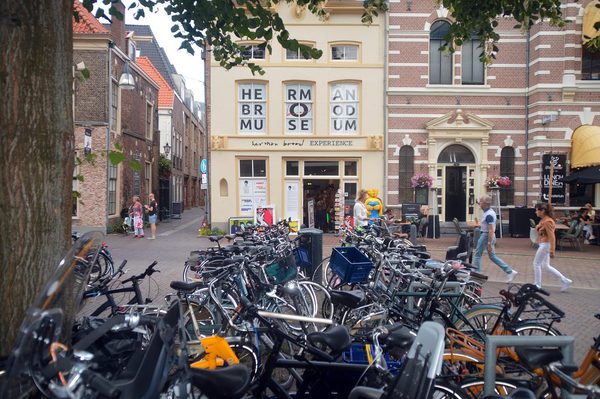 Singles in Zwolle: view of the city